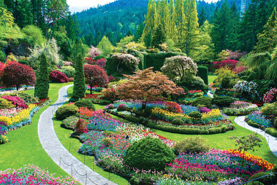 During Your Victoria Visit