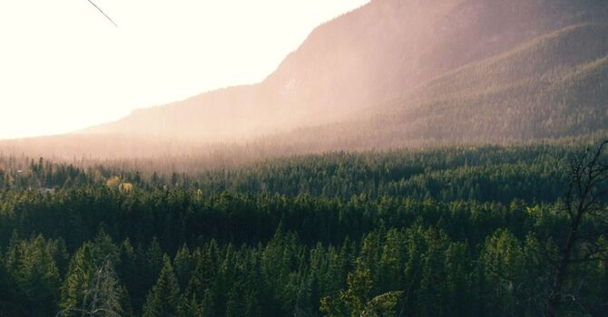 RMT at Evolutions Wellness Collective (Accessible Location)